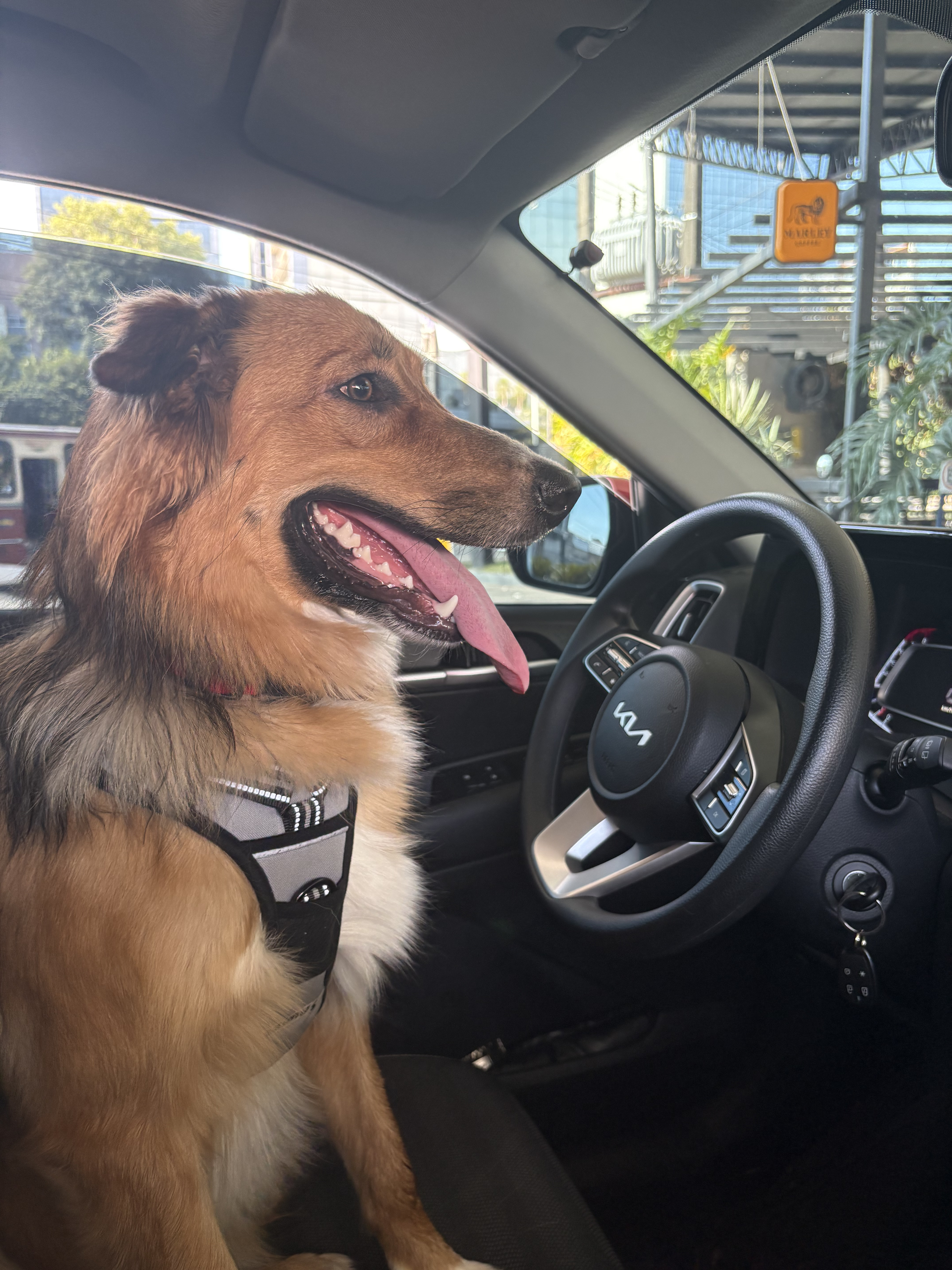 Recuerdo 2 de nosotros